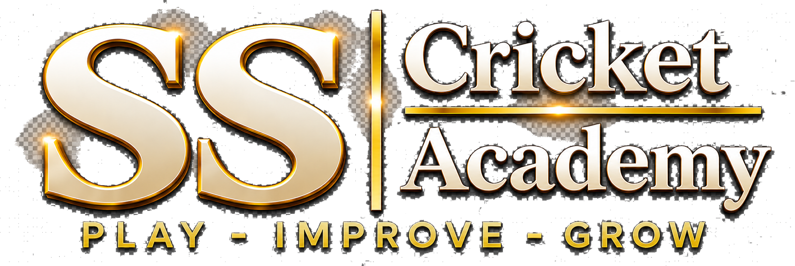 SS Cricket Academy — Play Improve Grow